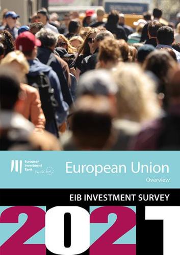 EIBIS EU Overview 2021